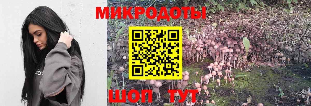 Псилоцибиновые грибы MAGIC MUSHROOMS  Вход с VPN  цена   Дедовск 