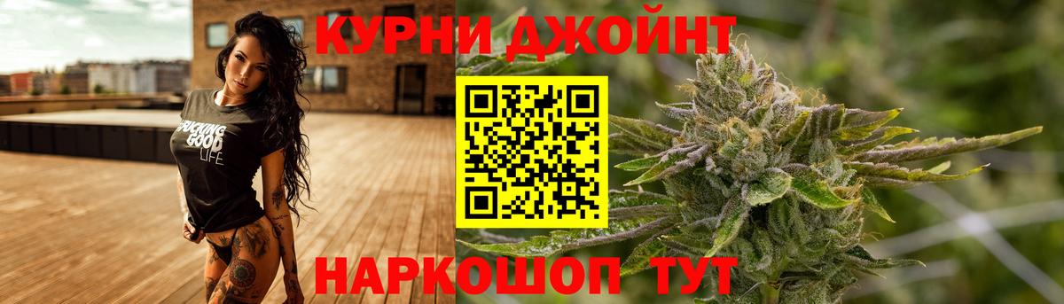 Каннабис план Дедовск